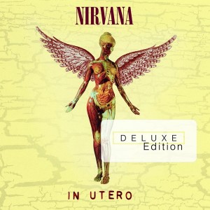 Nirvana - In Utero - 20th anniversary -Deluxe Edition - Cover